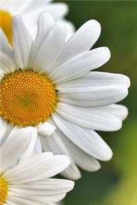 Delightful Daisy Flowers Journal