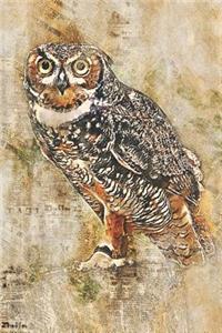 Owl Draw and Write Sketchbook Journal