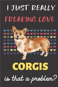 I Just Really Freaking Love Corgis. Is That A Problem?