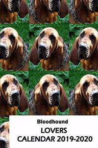 Bloodhound Lovers Calendar 2019-2020