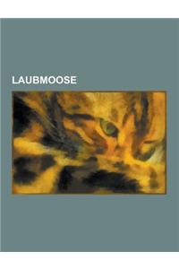 Laubmoose: Torfmoose, Sphagnum Capillifolium, Sphagnum Fuscum, Sphagnum Fimbriatum, Sphagnum Warnstorfii, Kaktusmoos, Sphagnum Gi