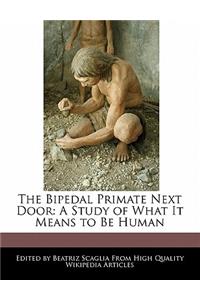 The Bipedal Primate Next Door