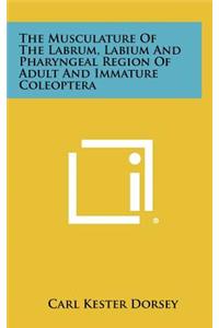 The Musculature of the Labrum, Labium and Pharyngeal Region of Adult and Immature Coleoptera