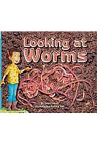 Rigby Flying Colors: Leveled Reader Bookroom Package Red Looking at Worms