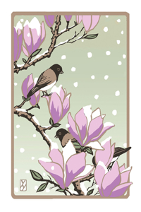 Winter Magnolia Boxed
