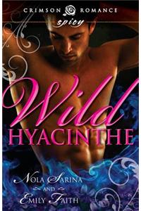 Wild Hyacinthe