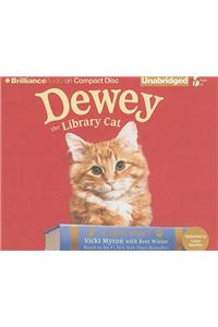 Dewey the Library Cat