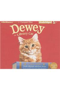 Dewey the Library Cat