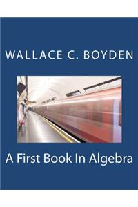 A First Book In Algebra