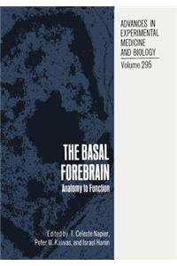 Basal Forebrain