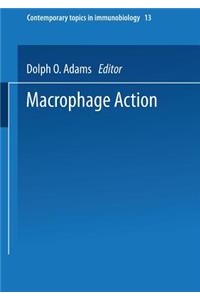 Macrophage Activation