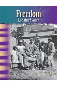 Freedom: Life After Slavery