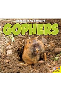 Gophers