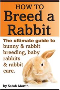 How to Breed a Rabbit