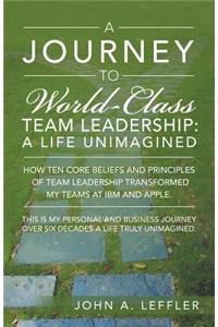 Journey to World-Class Team Leadership