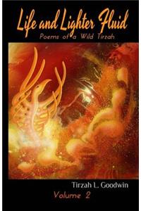 Life and Lighter Fluid, Volume 2