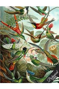 Botanical Notebook Collection