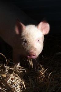 Little Pink Piglet Looking Out of the Barn Journal