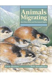 Animals Migrating