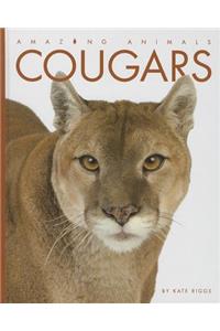Cougars