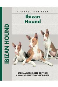 Ibizan Hound