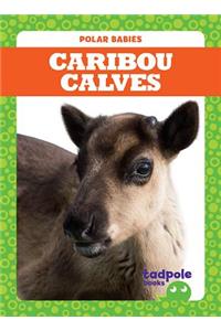 Caribou Calves