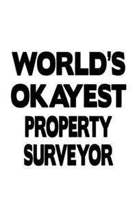 World's Okayest Property Surveyor