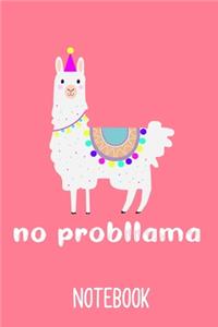 Notebook No Probllama