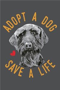 Adopt A Dog Save A Life