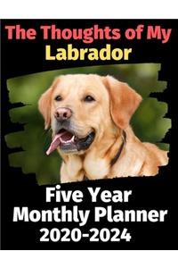 The Thoughts of My Labrador