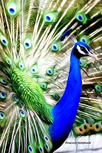 Peacock Notebook