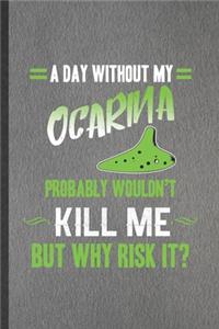 A Day Without My Ocarina Probably Wouldn't Kill Me but Why Risk It