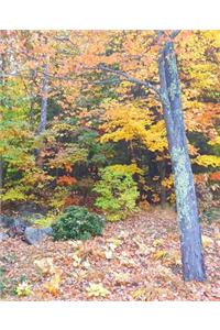 School Composition Book Autumn Season Forest 130 Pages