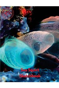 Sea Squirt Sketchbook