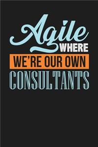 Agile Where We're Our Own Consultants
