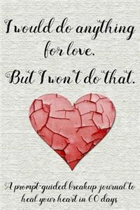 I Would Do Anything for Love. But I Won't Do That.