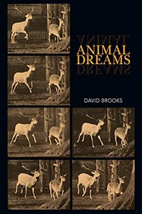 Animal Dreams