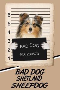 Bad Dog Shetland Sheepdog