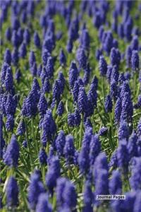 Journal Pages - Purple Field (Bullet Journal)