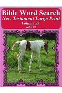 Bible Word Search New Testament Large Print Volume 23