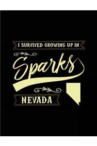 I Survived Growing Up In Sparks Nevada