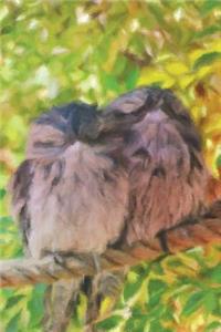 Two Tawny Owls - Lined Notebook with Margins