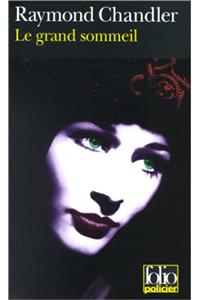 Le grand sommeil