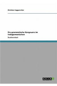 Die Grammatische Kongruenz Im Indogermanischen