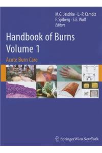 Handbook of Burns, Volume 1