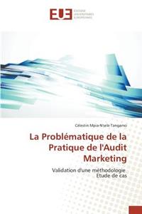 Problématique de la Pratique de l'Audit Marketing