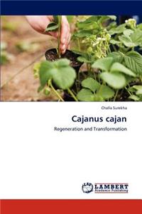 Cajanus cajan