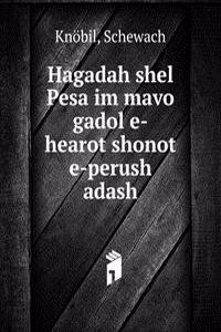 Hagadah shel Pesa im mavo gadol e-hearot shonot e-perush adash