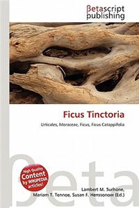 Ficus Tinctoria