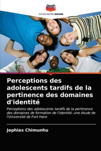Perceptions des adolescents tardifs de la pertinence des domaines d'identité